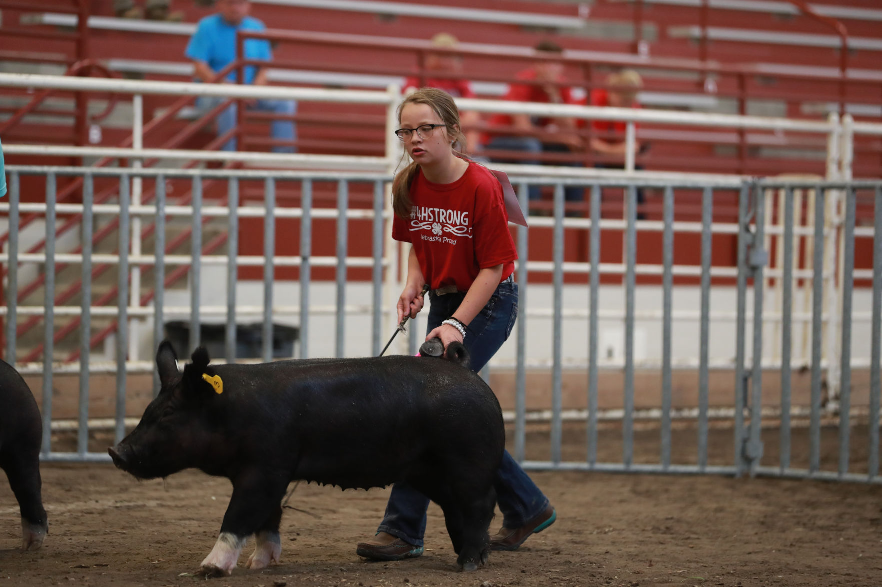 071119_HallCoFair10_bjs.JPG